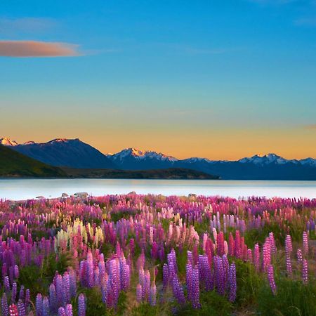 Lake Views At Antler Lodge Lake Tekapo Exterior photo
