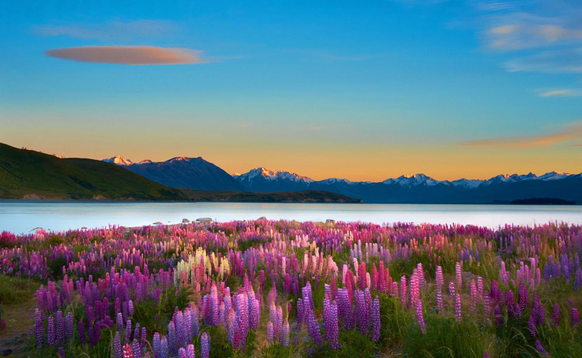 Lake Views At Antler Lodge Lake Tekapo Exterior photo